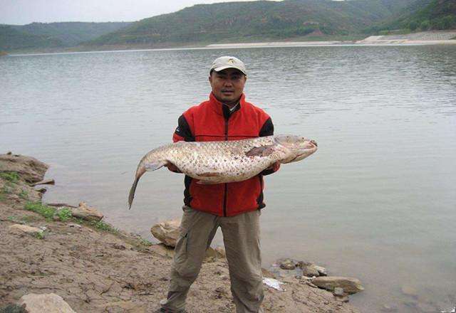 海竿串钩用什么鱼钩比较好,海竿串钩的铅坠离第一个鱼钩多远