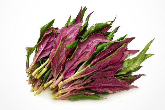 惠州能带走的特产推荐,惠州旅游特产