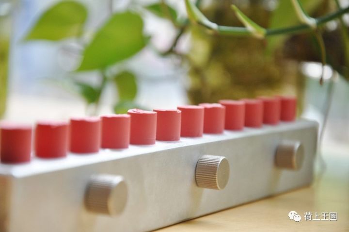 顶级植物油+进口SunChemical植物色粉,用心手作安全滋润口红