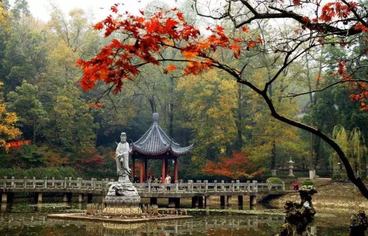 南京骑行最美路线浦口老山,南京十大最美骑行路