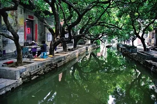 美得不像样子！广州秋季“花潮”来袭，你最想和谁一起看