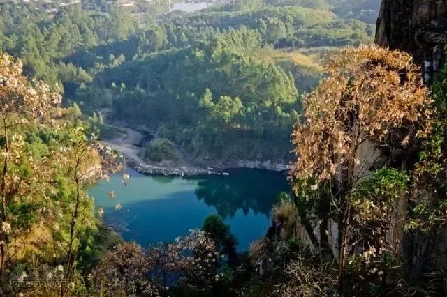 美得不像样子！广州秋季“花潮”来袭，你最想和谁一起看