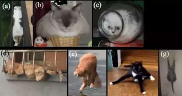 今年诺贝尔医学奖发明了什么,盘点最奇葩的发明