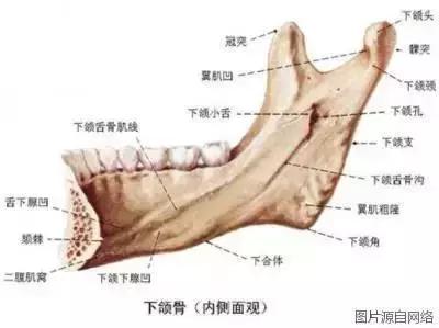 掉牙时强行拔牙弄下来会发生什么,拔牙以后真的会牙齿掉得快吗
