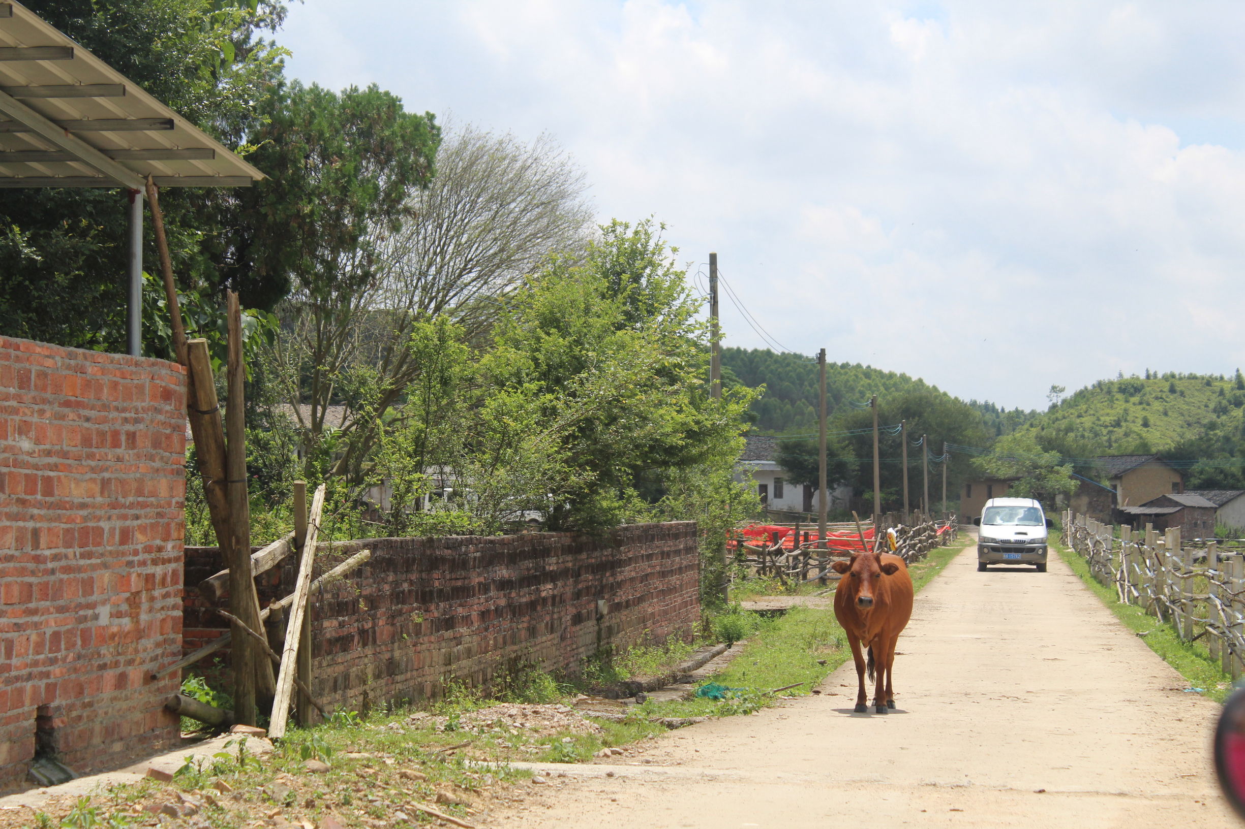 心系河源情归忠信——第二集走进无人区中洞村（下）