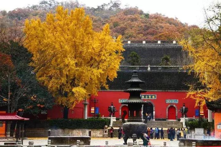 南京骑行最美路线浦口老山,南京十大最美骑行路