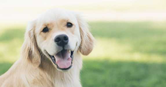 做备胎的第5年我自杀被救，才发现真爱一直在我身边