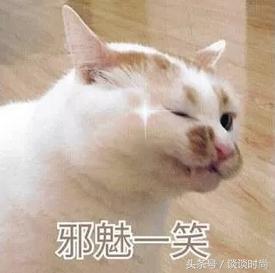 悦诗风吟唇釉超浅色 (悦诗风吟限定款唇釉)