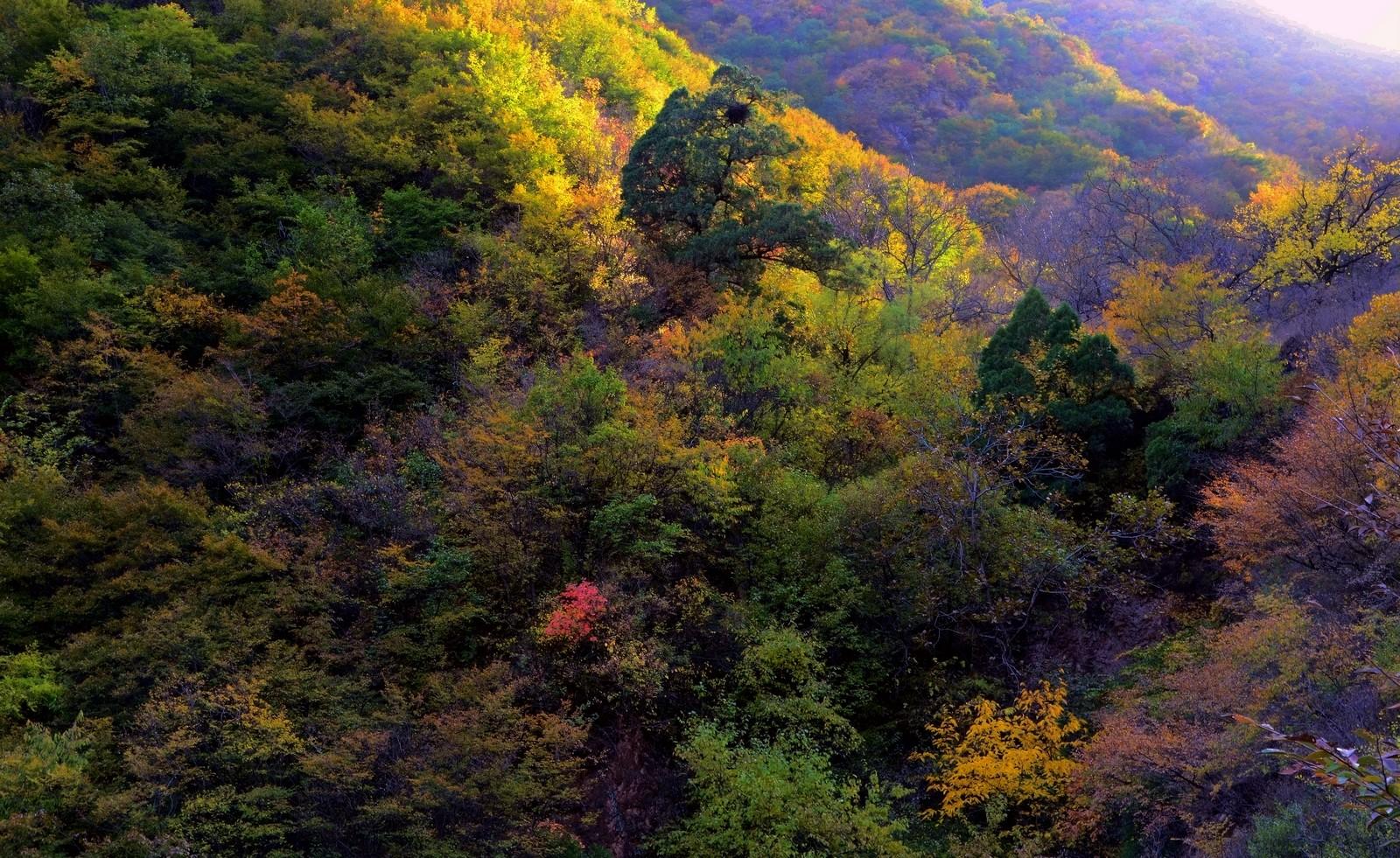 何处古汉语,燕国和燕山有什么区别