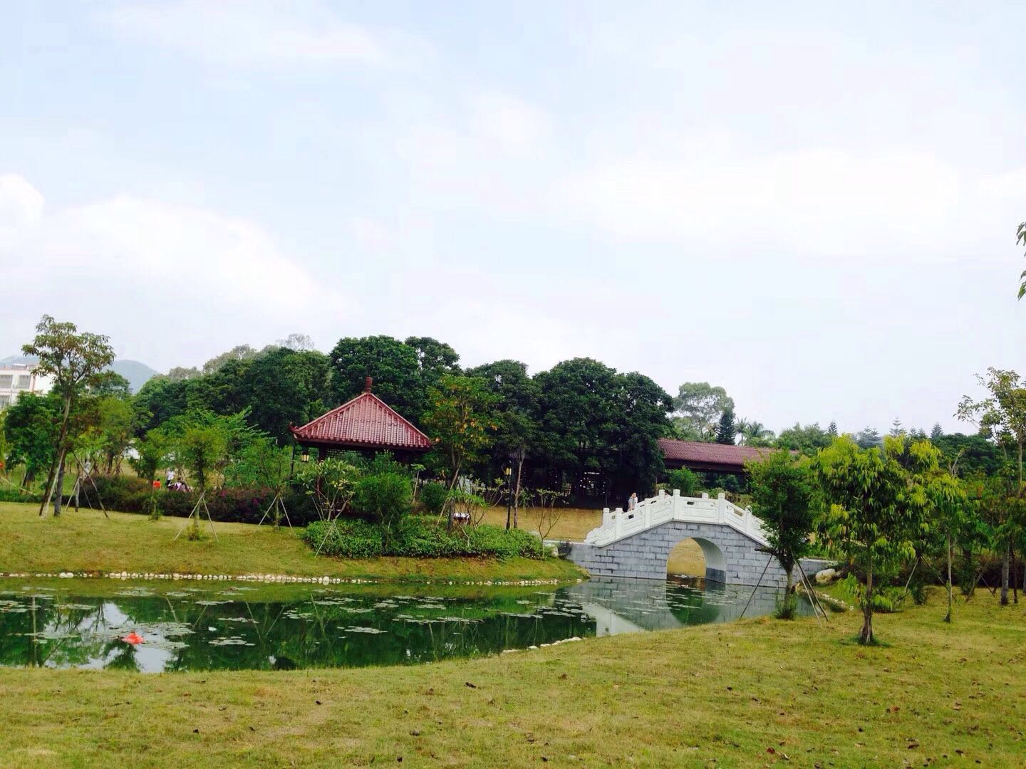 漫步云霄,漫步云霄县