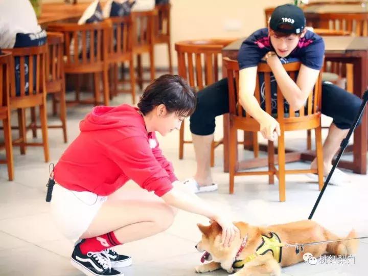 马思纯和曾舜晞,演员马思纯演过的电视剧