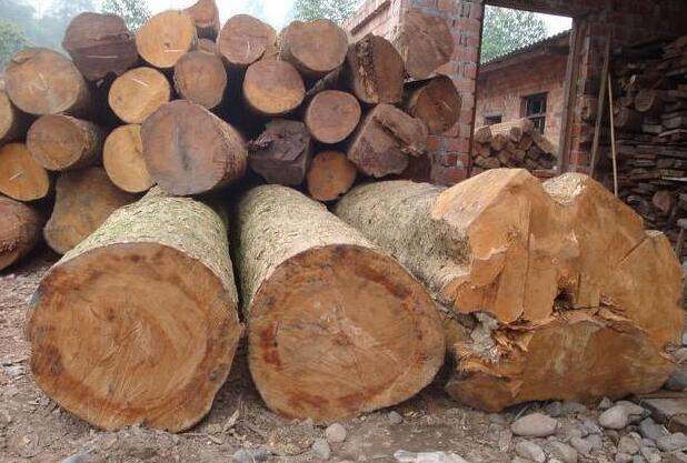 楠木做家具好还是白腊木好白蜡木用来做家具怎么样?