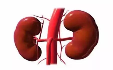 肾病综合征的诊断标准,膜性肾病的诊断和病理分型