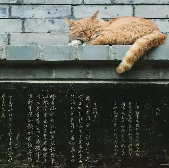 巷尾老爷爷卖的文房四宝，味道弥漫过旧旧的后院