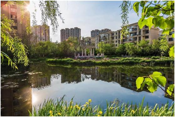 沈阳风景美适合拍照的地方推荐,推荐一个沈阳休闲拍照的好去处