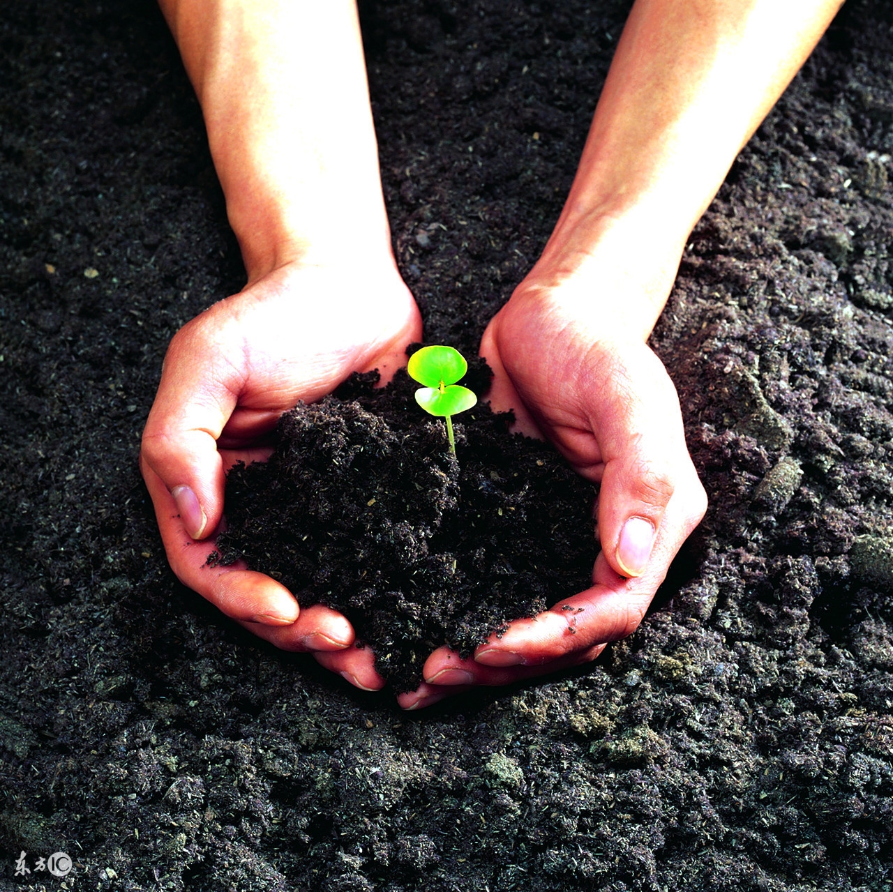 适合qq签名的短句子励志,励志的微信个性签名句子简短