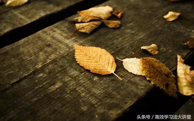 必备语文常识,最火语文知识问答