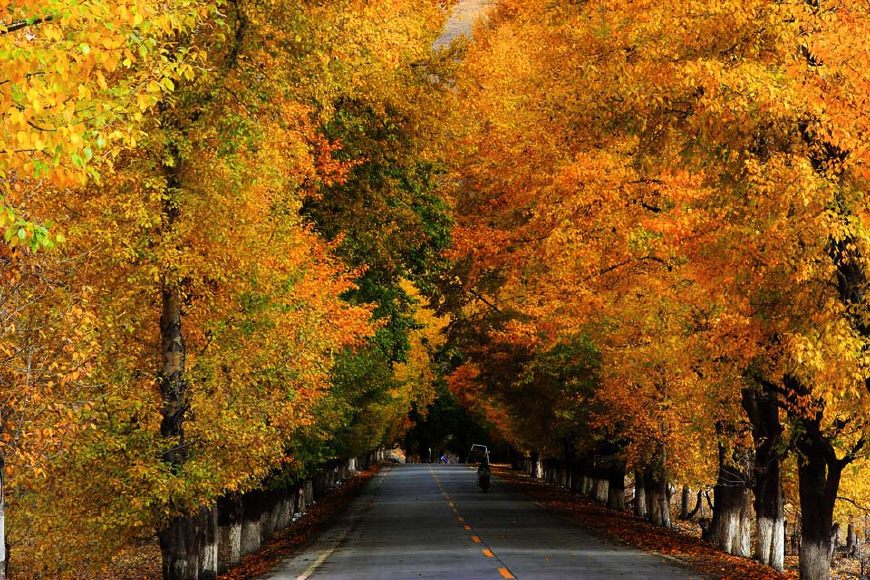 道奇酷威超长途测试,道奇酷威试车