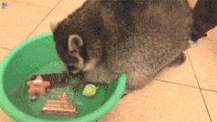 买安陶氧仙子清洁颗粒,安陶氧仙子一箱多少盒