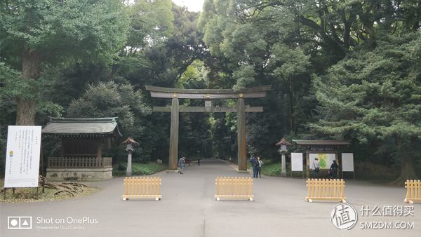 十一假期去日本旅游的有多少,十一长假全家去游玩