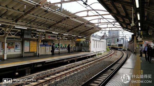 十一假期去日本旅游的有多少,十一长假全家去游玩