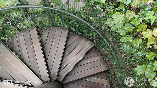 十一假期去日本旅游的有多少,十一长假全家去游玩