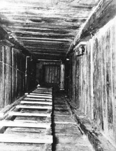 十种最不可思议的越狱行动,匪夷所思越狱完整版