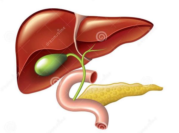 胆囊结石和胆囊息肉,胆囊息肉吃什么中药