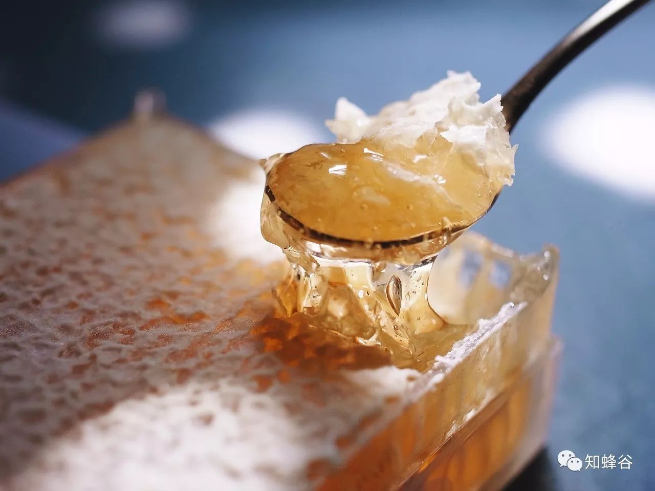 鍐滃铚傝湝娑﹁偤姝㈠挸,瀹㈠姝㈠挸铚傝湝