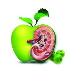 肾病综合征的诊断标准,膜性肾病的诊断和病理分型