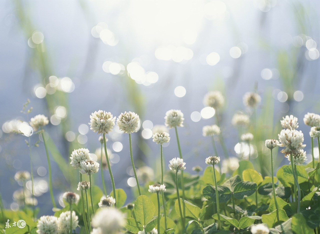 适合qq签名的短句子励志,励志的微信个性签名句子简短