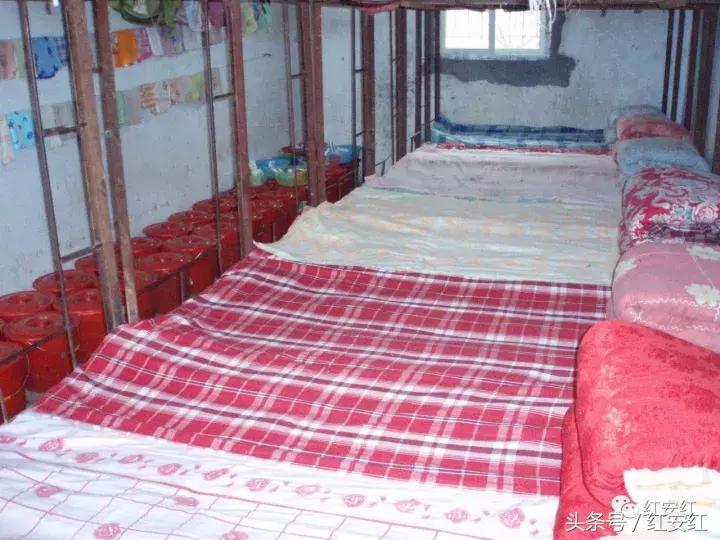 忆母校峥嵘岁月稠,忆母校风华正茂