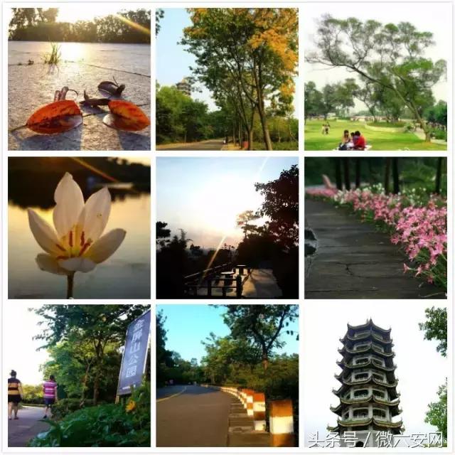 来广州不去看小蛮腰很遗憾,来广州但没去广州塔遗憾吗