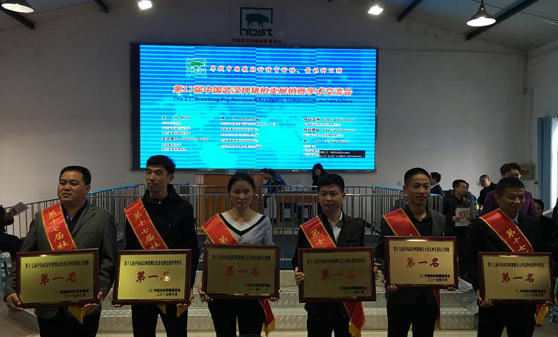 湖北一*猪种**拍出6.8万元——第十七届中国武汉*猪种**拍卖会硕果满枝