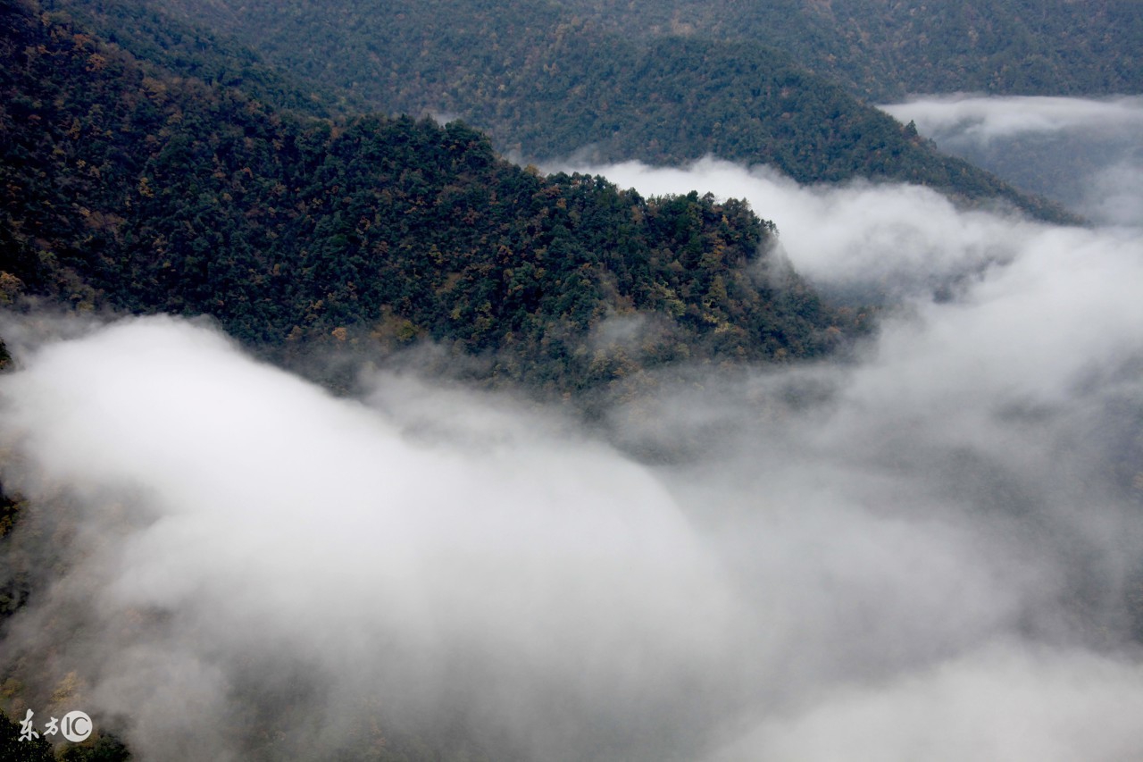 公务员行测言语理解的成语,公务员考试成语大全及解释1000个