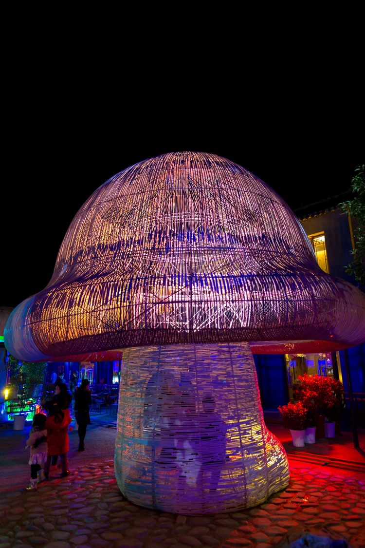 蹇冨績鍐棩灏忚,蹇冨績鍐棩