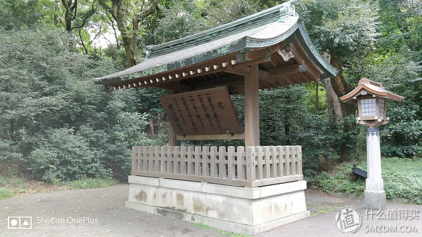 十一假期去日本旅游的有多少,十一长假全家去游玩