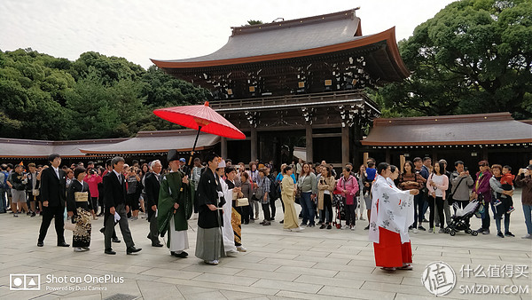 十一假期去日本旅游的有多少,十一长假全家去游玩