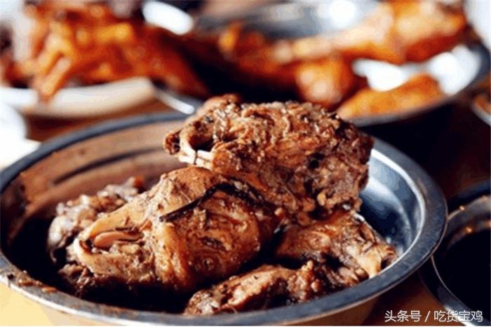 美味的兔子在澳洲成了祸害，澳大利亚人苦不堪言