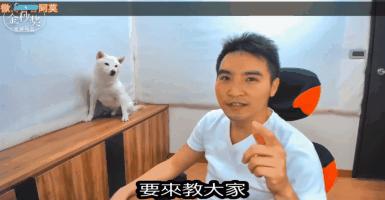 年度抖音最红10位男明星,2023年十位最佳男明星