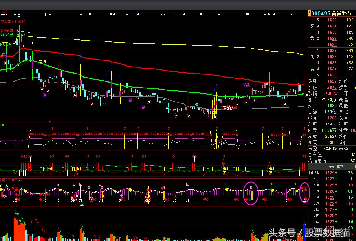 今日云南铜业千股千评,云铝股份深度分析2024