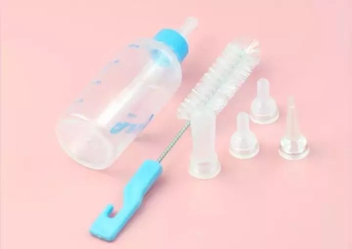 怎么照顾小奶猫最好,照顾小奶猫