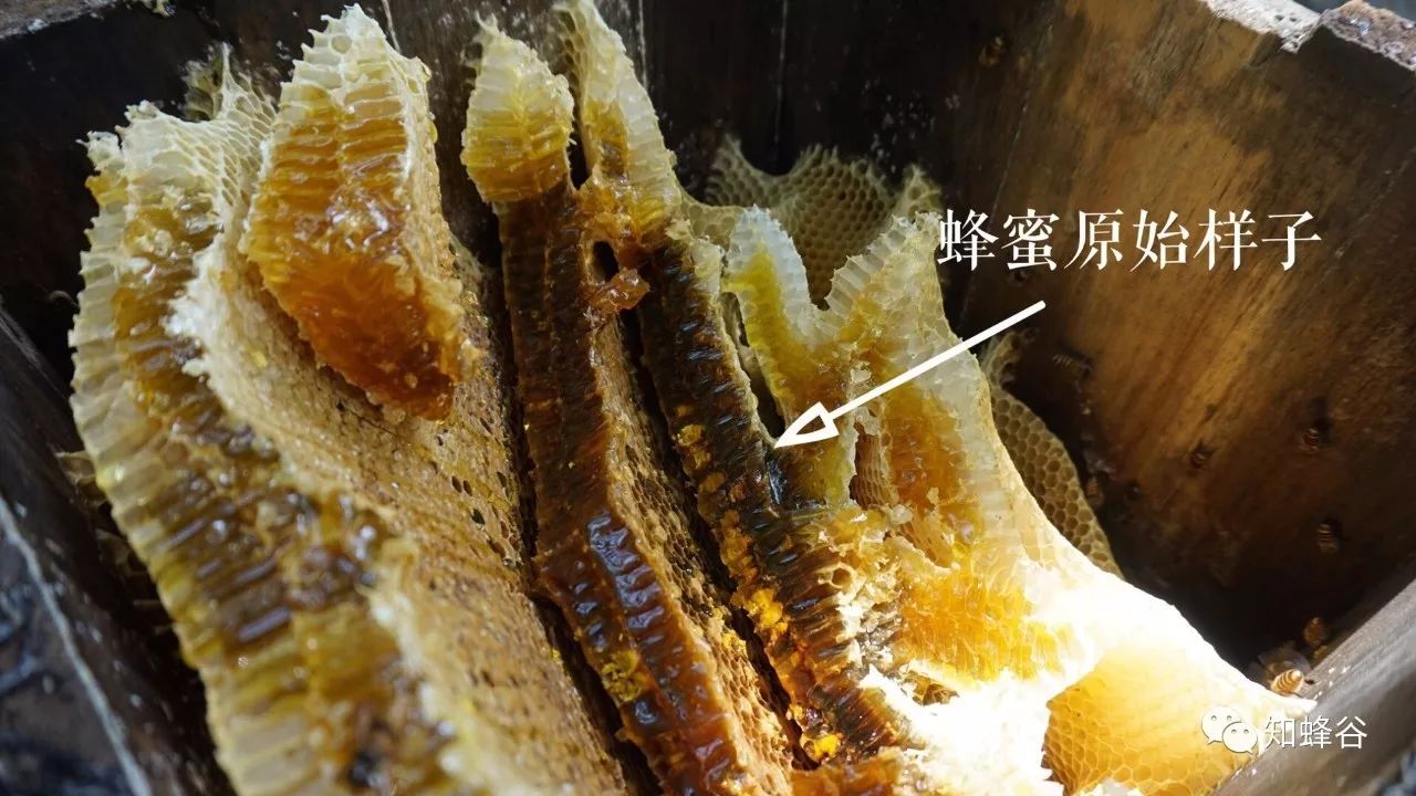 鍐滃铚傝湝娑﹁偤姝㈠挸,瀹㈠姝㈠挸铚傝湝