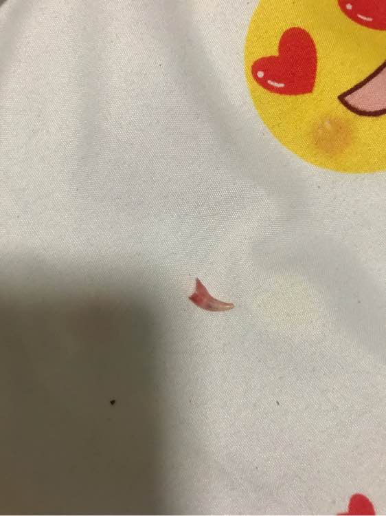 金毛掉了3颗牙,金毛啃骨头把牙齿啃掉了