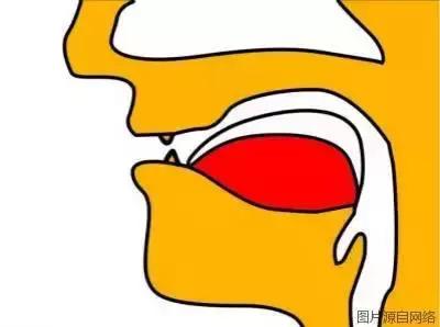 掉牙时强行拔牙弄下来会发生什么,拔牙以后真的会牙齿掉得快吗