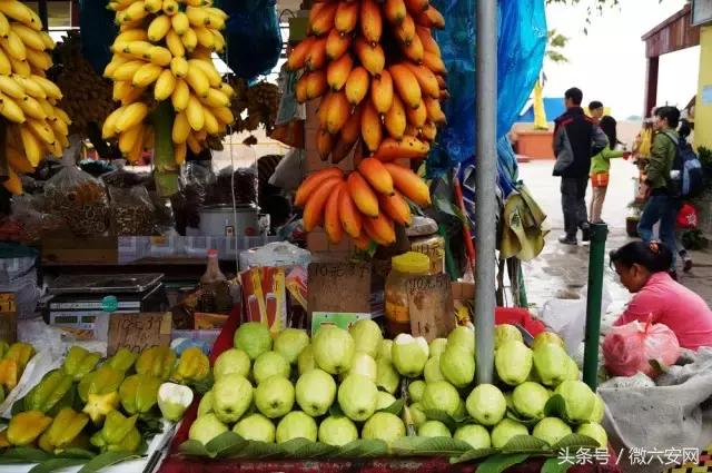 来广州不去看小蛮腰很遗憾,来广州但没去广州塔遗憾吗