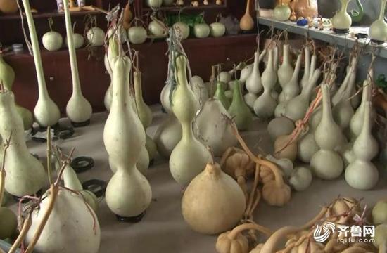 葫芦第一村价格,山东靠葫芦致富