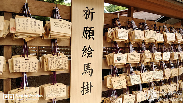 十一假期去日本旅游的有多少,十一长假全家去游玩