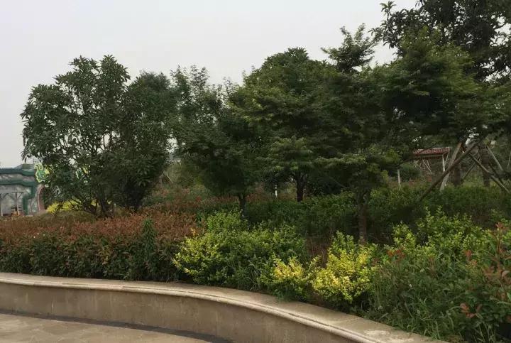 景观园林的奖项排行榜,风景园林项目