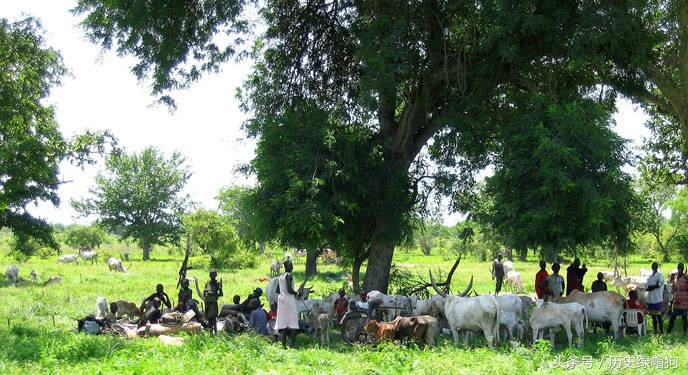 涓栫晫涓婃渶榛戠殑绉嶆棌,涓栫晫涓婃渶榛戞渶楂樼殑绉嶆棌